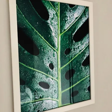 호스텔 Spoko
