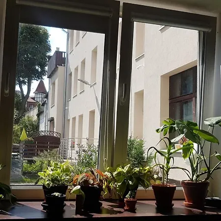 Spoko 그단스크