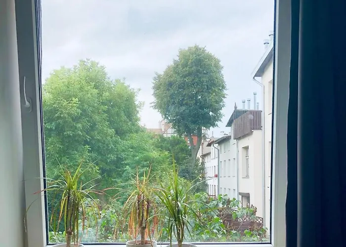 بيت شباب Spoko *